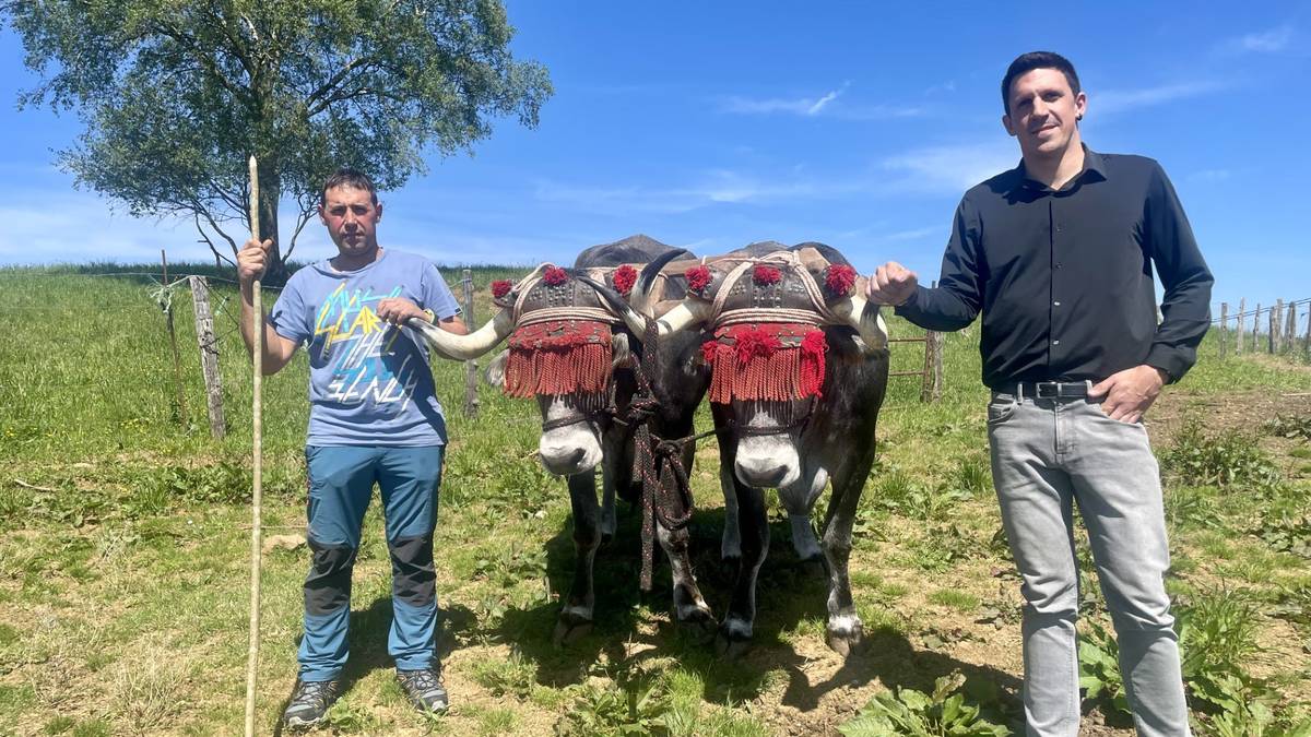 Egitarau biribilarekin dator aurtengo Aiako Idi Eguna