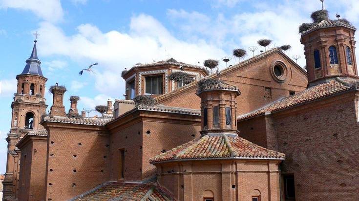 Alfarorako irteera antolatu du Beheko Plaza elkarteak