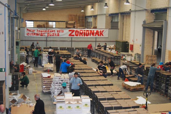 Errigorako 1.725 litro olio eta 2.460 kontserba pote ostiralean banatuko dira Azpeitian