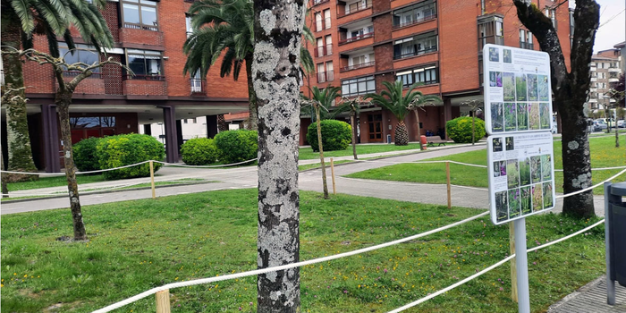 Zarauzko orkideak: herri barruko altxor txiki baten zaintza kolektiboa