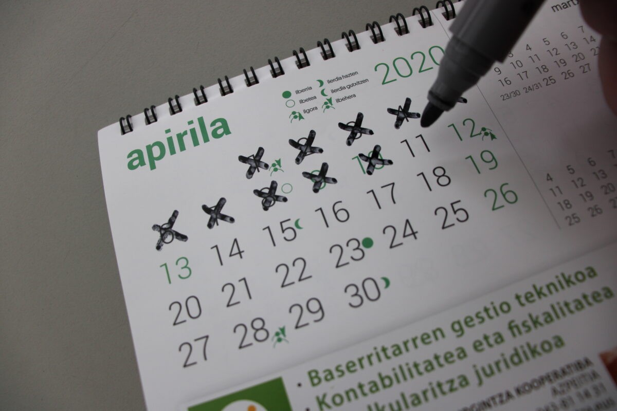 Herritarren hausnarketak, alarma egoera hasi eta sei hilabetera