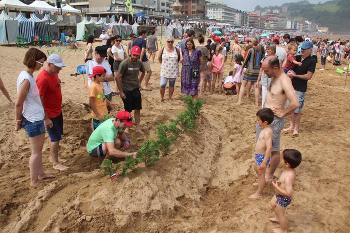 Tropeltxoak hondar gainean, Zarautzen
