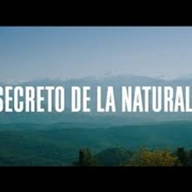 Proiekzioa: 'El secreto de la naturaleza' dokumentalaren proiekzioa eta solasaldia
