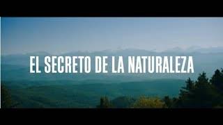 Proiekzioa: 'El secreto de la naturaleza' dokumentalaren proiekzioa eta solasaldia