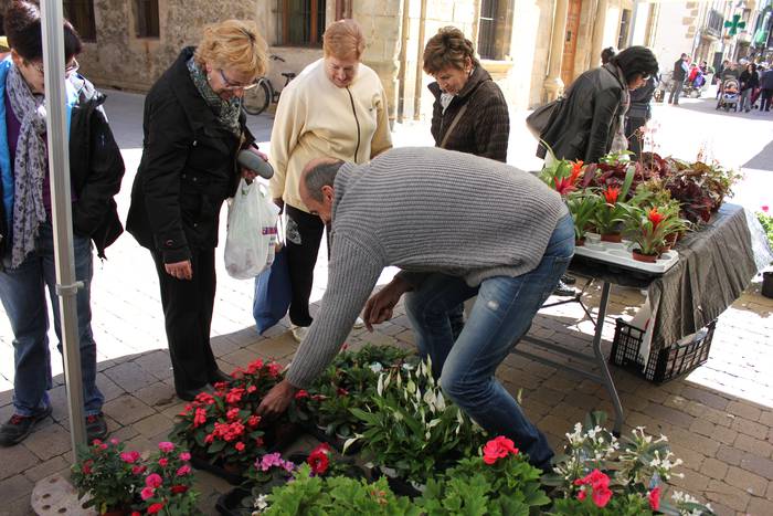 Lore eta landare azoka izango da larunbatean