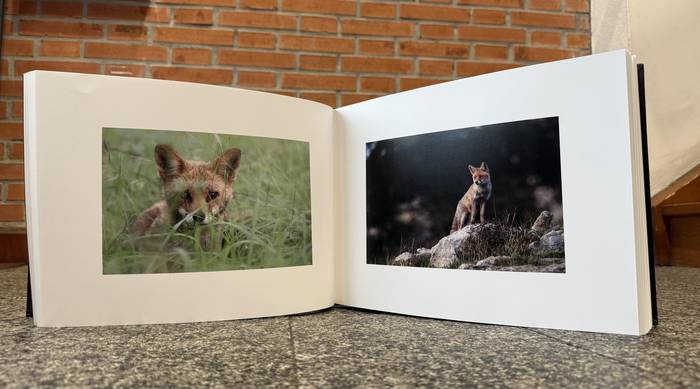 Begirada baten argazkiak