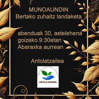 Munoaundin bertako zuhaitz landaketa