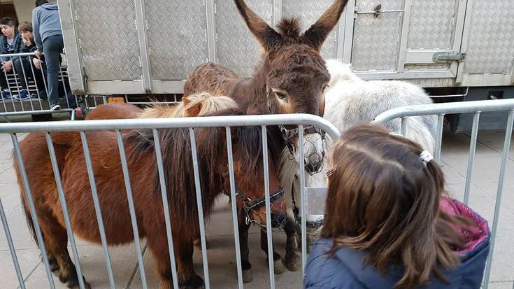 Txistor jana eta gehiago izan da gaur Alai auzategian