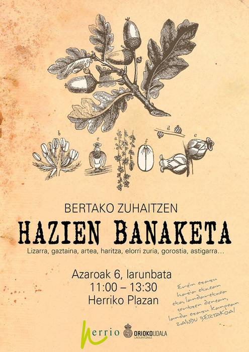 Euskal Herriko zuhaitzen hazi banaketa