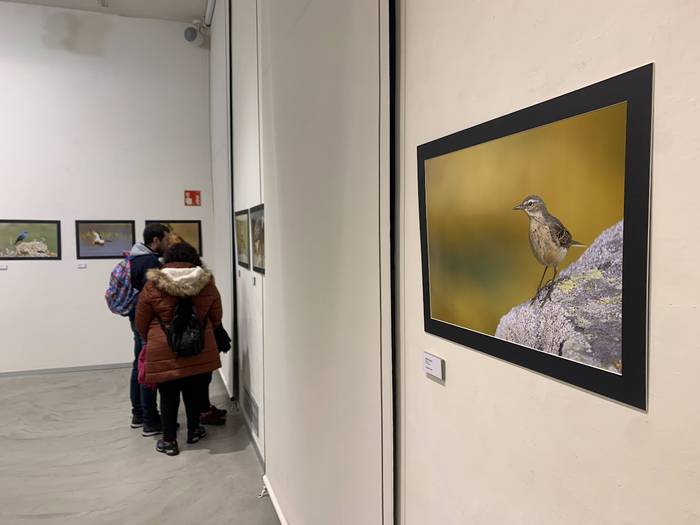 Igandera arte bisitatu daiteke Oxforden ikusgai dagoen erakusketa