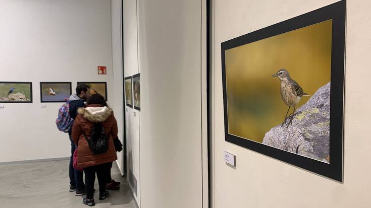 Igandera arte bisitatu daiteke Oxforden ikusgai dagoen erakusketa