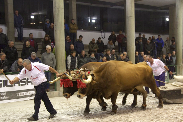 Aiako XXI. Kintopeko Idi Probak jokatuko dira azaroaren 1etik 4ra bitartean