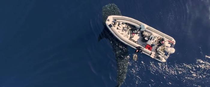 Itsaspeko zinemak hartuko du bigarrenez Modelo