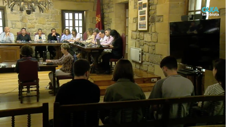 Dandaren eta udalaren arteko gorabeherak, udalbatzarreko mami