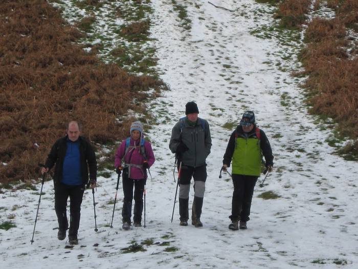 Urte oso bat mendian bueltaka
