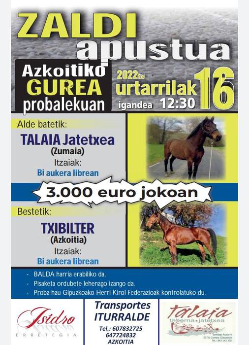 Zaldi apustua