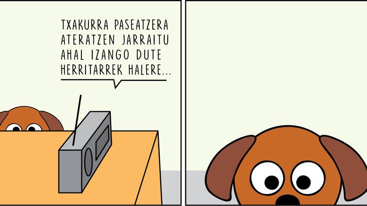 Enoken bigarren zinta, txakurrarekin kalera ateratzeko aukeraz