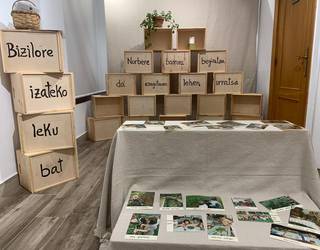 Hamargarren urteurrena ospatuko du Bizilore eskolak