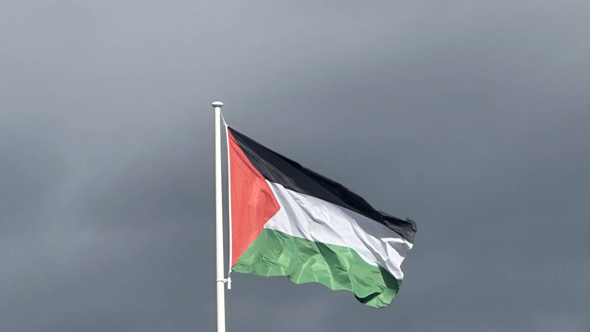 Palestinari elkartasuna adierazteko elkarretaratzea deitu du Elkar-ekinek ostiral honetarako