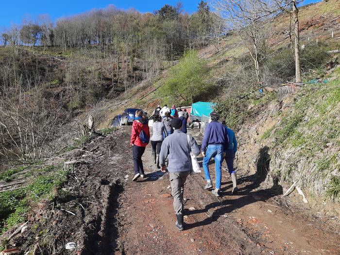 Bertako zuhaitzak landatu dituzte Aian