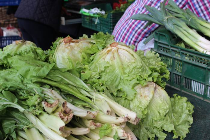 Azokak berriz zabaltzeko eskatu dute hainbat eragilek