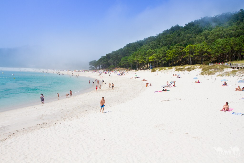 Cies Uharteetan aurkitzen den Rodas ...