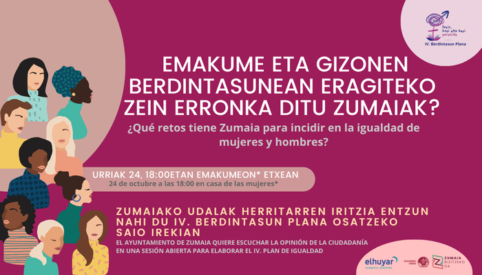 Berdintasun Plana: kontraste saioa