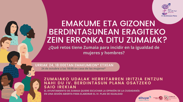 Berdintasun Plana: kontraste saioa