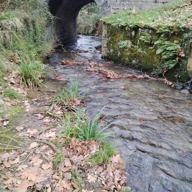 Erreka Mari, mitologia eta ura nahasten dituen esperientzia