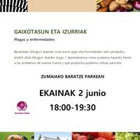 Furgobaratzaren bisita: 'Gaixotasun eta izurriak' tailerra