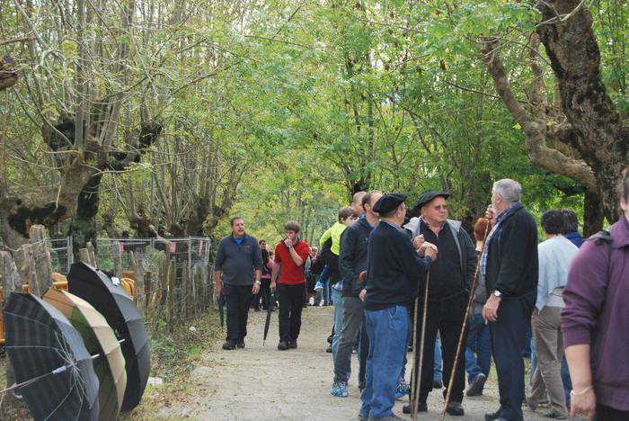 Giro ederrean ospatu dute Elosun mendiko ganadu azoka