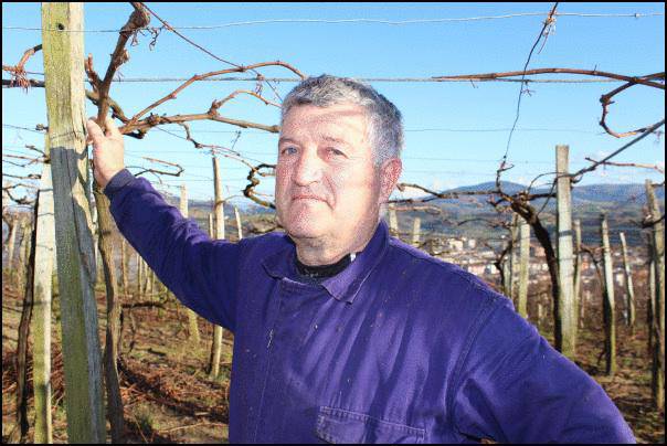 Jose Inazio Manterola: "Orain, txakolina ekoizteaz gain, saltzen ikasi behar dugu"