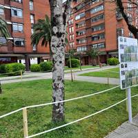 Irteera: Herriko orkideak ezagutzeko txangoa