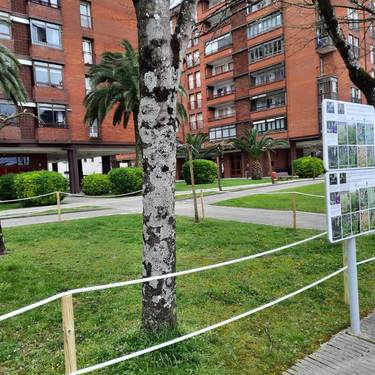 Irteera: Herriko orkideak ezagutzeko txangoa