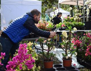 Landare Berezien 22. Azoka egingo dute hilaren 25ean eta 26an