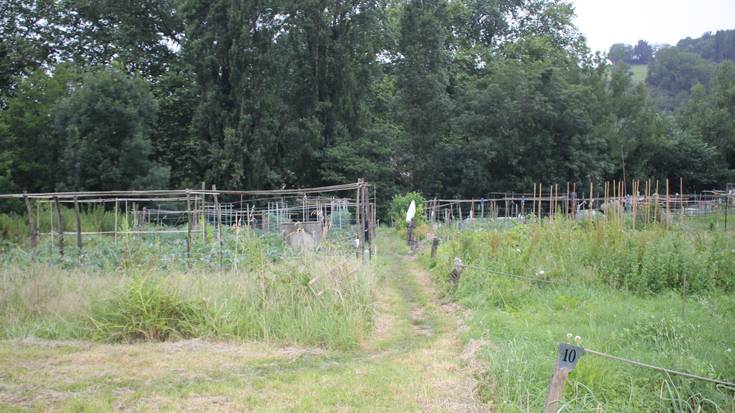 Negurako landaketen gaineko tailerra emango du Furgobaratzak hilaren 18an Iraetan