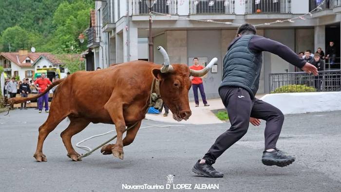 Ekainaren 14an sokamuturra izango da Nuarben
