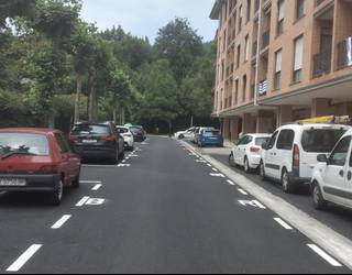 Estropalari eta Pelotari kaleetako belarra eta "arriskua sortzen duten" zuhaitzak moztuko dituzte egunotan