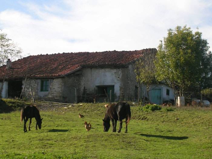 Auzo bilera Sallubin (Menditxiki)