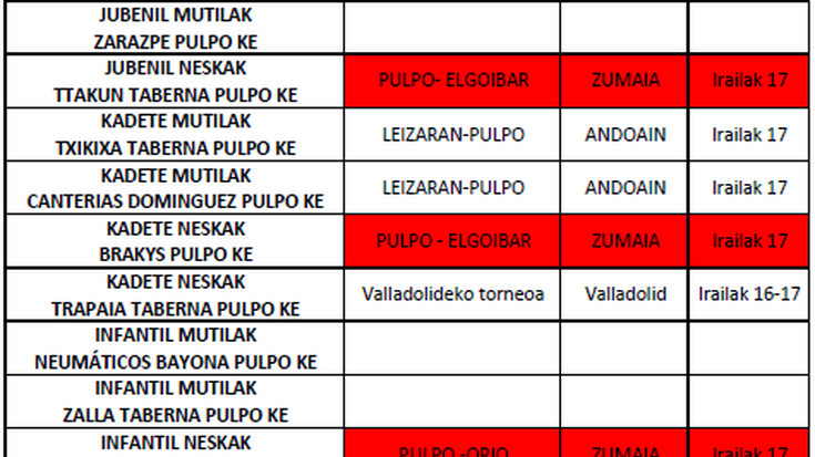 Pulpo K.E. ren aurre denboraldiko partiduak