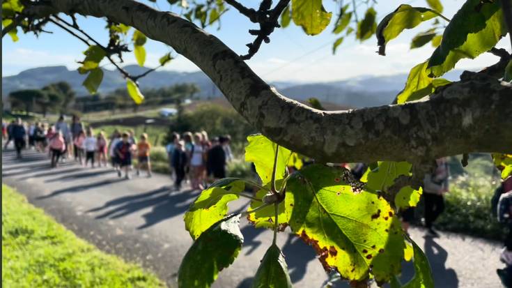 TIPI-TAPA, TIPI TAPA... BAGOAZ AURRERA