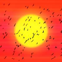Hegaztien migrazioari eta klima aldaketari buruzko erakusketa