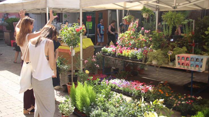 Udako lore eta landare azoka egin dute