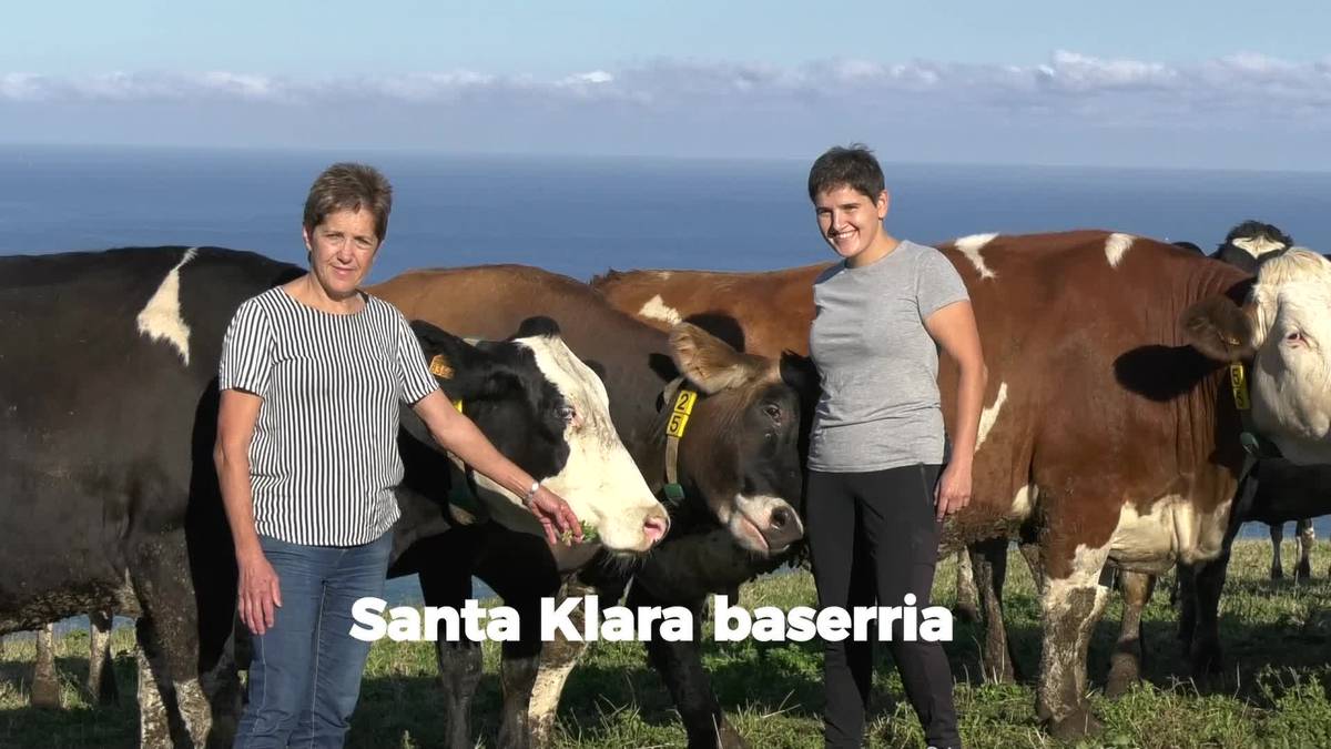 Azaroko Zumaia Guka aldizkariko aurrerapen bideoa: Santa Klara