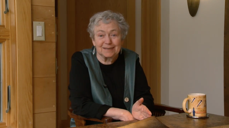 'Symbiotic Earth' dokumentala botako dute ostegunean Aita Marin