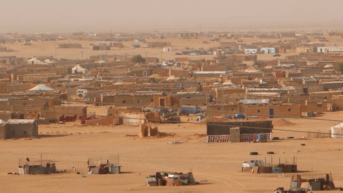 Tindufeko kanpalekuetan dauden saharar errefuxiatuentzako janari bilketa egingo dute bihar