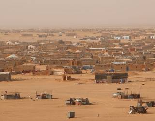 Tindufeko kanpalekuetan dauden saharar errefuxiatuentzako janari bilketa egingo dute bihar