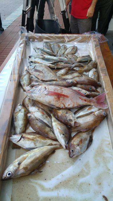 Kaela ontziak irabazi du Klub Nautikoaren arrantza txapelketako lehen saioa