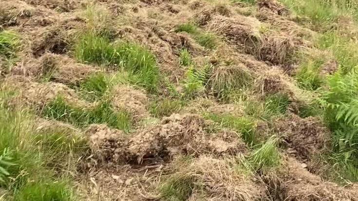 "Basurdeen txikizioak direla eta, gero eta zailagoa egiten zaigu baserriko lana aurrera eramatea"