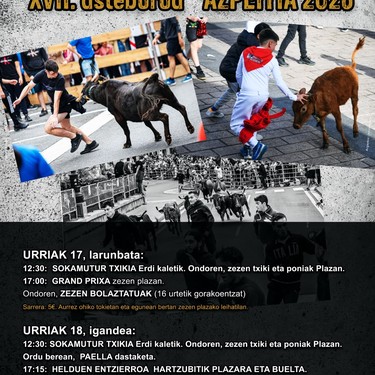 XVII. Zezen Beltz Asteburua